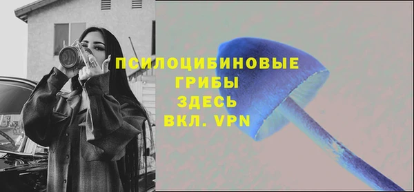 ешки Верхний Тагил