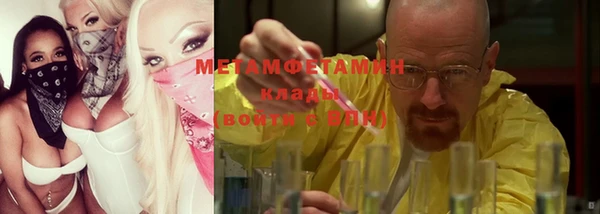 гидра Богданович