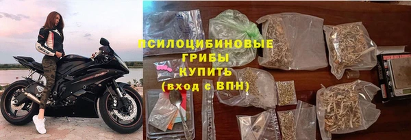 ешки Верхний Тагил