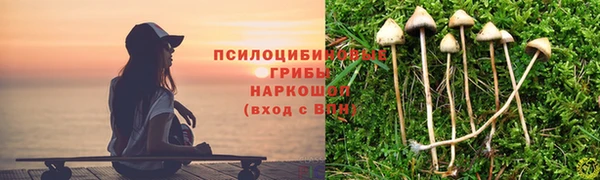 ешки Верхний Тагил