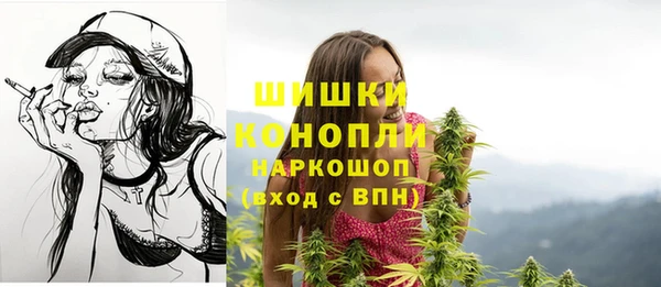 ешки Верхний Тагил