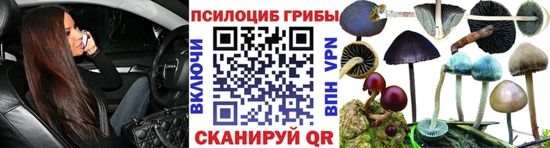 Псилоцибиновые грибы Psilocybe  Кимовск 